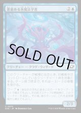 画像: 悪意ある氷魔法学者/Sinister Cryologist