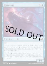 画像: 星破りの鯨/Starbreach Whale