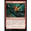 画像1: 軌道からの突入/Orbital Plunge (1)