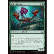 画像1: 花開く毒針刺し/Blooming Stinger (1)