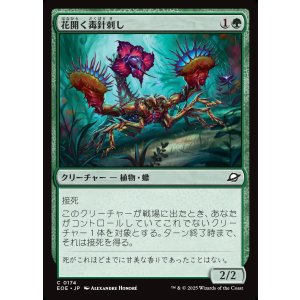 画像: 花開く毒針刺し/Blooming Stinger