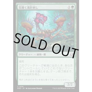 画像: 花開く毒針刺し/Blooming Stinger
