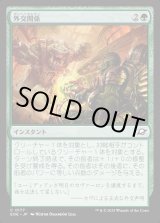 画像: 外交関係/Diplomatic Relations