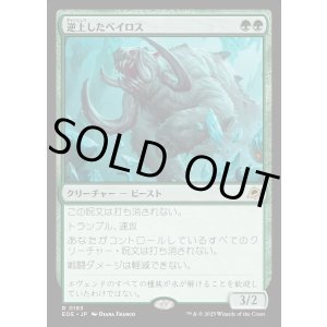 画像: 逆上したベイロス/Frenzied Baloth