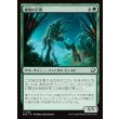 画像1: 菌類の巨獣/Fungal Colossus (1)