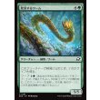 画像1: 発芽するワーム/Germinating Wurm (1)