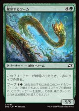 画像: 発芽するワーム/Germinating Wurm