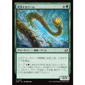 画像: 発芽するワーム/Germinating Wurm
