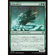 画像1: 氷河の神大口/Glacier Godmaw (1)