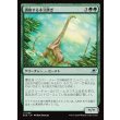 画像1: 調和する木立跨ぎ/Harmonious Grovestrider (1)