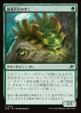 画像: 血液共生のダニ/Hemosymbic Mite