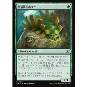 画像: 血液共生のダニ/Hemosymbic Mite