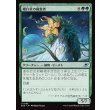 画像1: 鞭打草の捕食者/Lashwhip Predator (1)