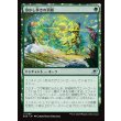 画像1: 溶かし歩きの消散/Meltstrider's Resolve (1)