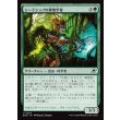画像1: シードシップの耕地学者/Seedship Agrarian (1)