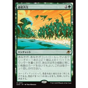 画像: 惑星共生/Terrasymbiosis