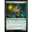 画像1: 解氷をもたらす者/Thawbringer (1)