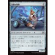 画像1: 金属の相棒/Chrome Companion (1)