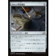 画像1: ブロック型栄養食/Nutrient Block (1)