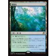 画像1: 繁殖池/Breeding Pool (1)