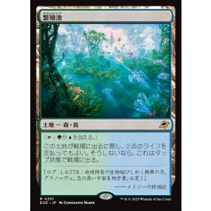 画像: 繁殖池/Breeding Pool