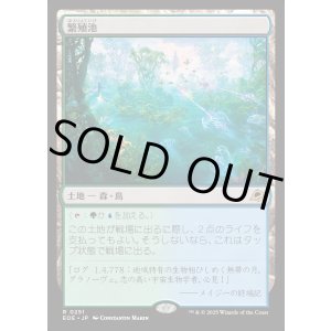 画像: 繁殖池/Breeding Pool