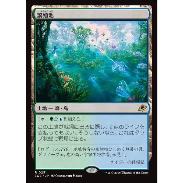 画像1: 繁殖池/Breeding Pool (1)