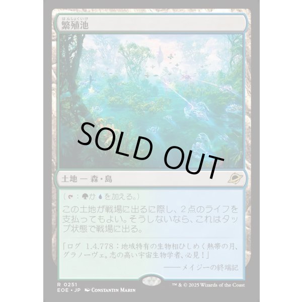 画像1: 繁殖池/Breeding Pool (1)