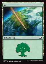 画像: 森/Forest