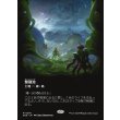 画像1: 繁殖池/Breeding Pool (1)