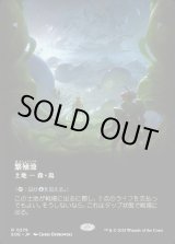 画像: 繁殖池/Breeding Pool