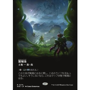 画像: 繁殖池/Breeding Pool