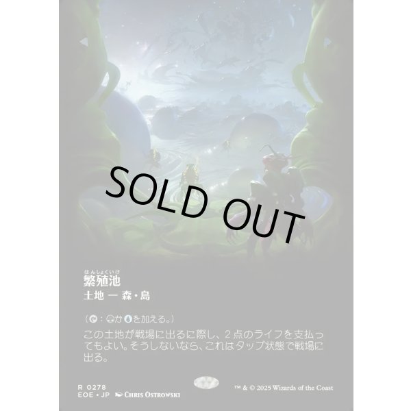 画像1: 繁殖池/Breeding Pool (1)