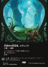 画像: 目覚めの安息地、エヴェンド/Evendo, Waking Haven