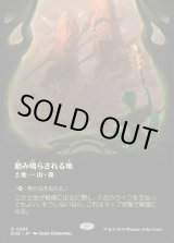 画像: 踏み鳴らされる地/Stomping Ground