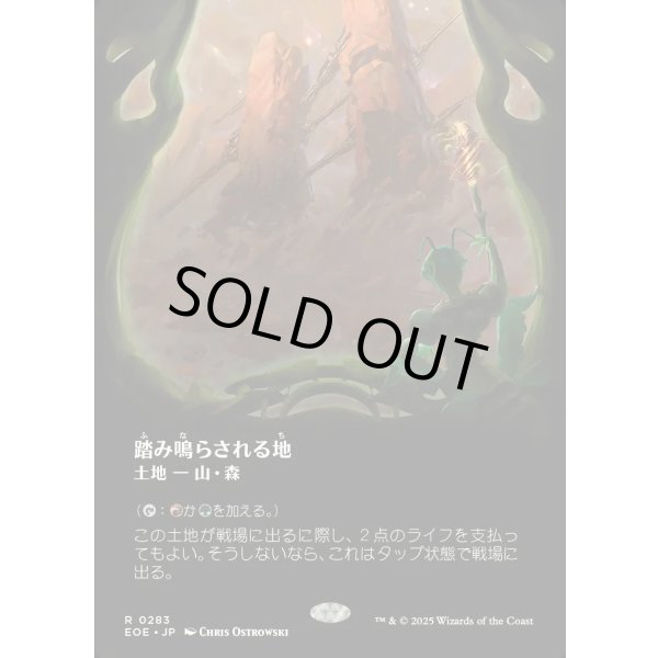 画像1: 踏み鳴らされる地/Stomping Ground (1)