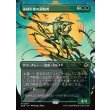 画像1: 強靭形態の調和者/Mightform Harmonizer (1)