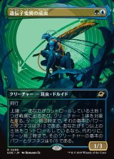 画像: 遺伝子変異の成虫/Genemorph Imago