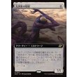 画像1: 反因果の残留/Anticausal Vestige (1)