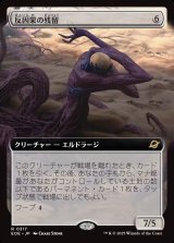 画像: 反因果の残留/Anticausal Vestige