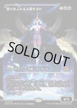 画像: 喜びあふれる太陽生まれ/Exalted Sunborn