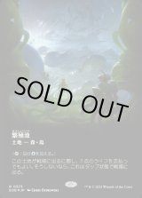画像: 繁殖池/Breeding Pool