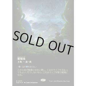 画像: 繁殖池/Breeding Pool