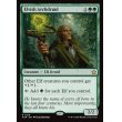 画像2: エルフの大ドルイド/Elvish Archdruid (2)