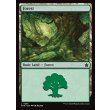画像2: 森/Forest (2)