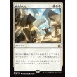 画像1: 過去立たせ/Raise the Past (1)