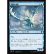 画像1: 氷風の精霊/Icewind Elemental (1)