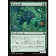 画像1: 待ち伏せる狼/Ambush Wolf (1)