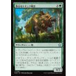 画像1: 熱心なトリュフ嗅ぎ/Eager Trufflesnout (1)