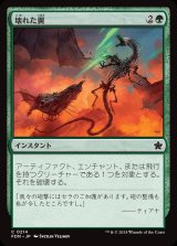 画像: 壊れた翼/Broken Wings